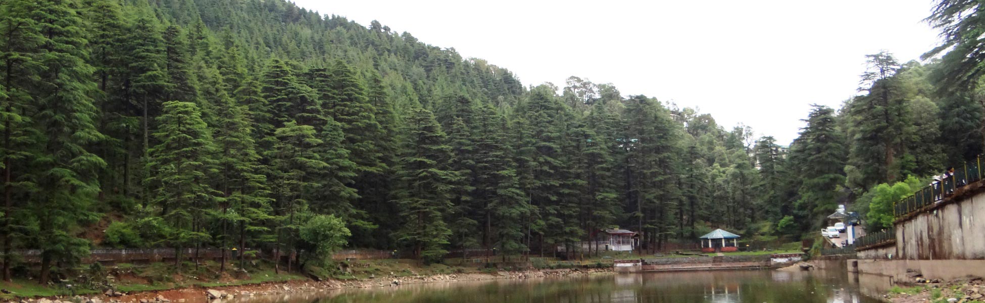 Panoramic view of Dal Lake in McLeodganj, Dharamshala, surrounded by dense deodar forests; a prime cinematic film shooting location in Himachal Pradesh curated by Trisna Films. film production house in Ayodhya, video production house in Ayodhya, tv production house in Ayodhya, production house in Ayodhya, film production company in Ayodhya, video production company in Ayodhya, tv production company in Ayodhya, production company in Ayodhya